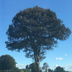 Stalking, psykisk vold, system vold, oplevelser efter brud i et forhold.